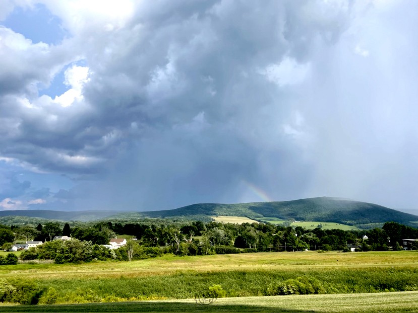 Collage of America's 250 Birthday Wishes